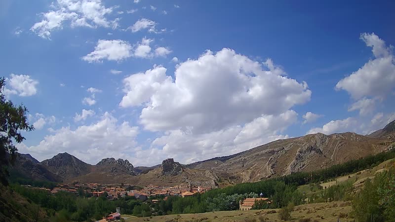 Aliaga