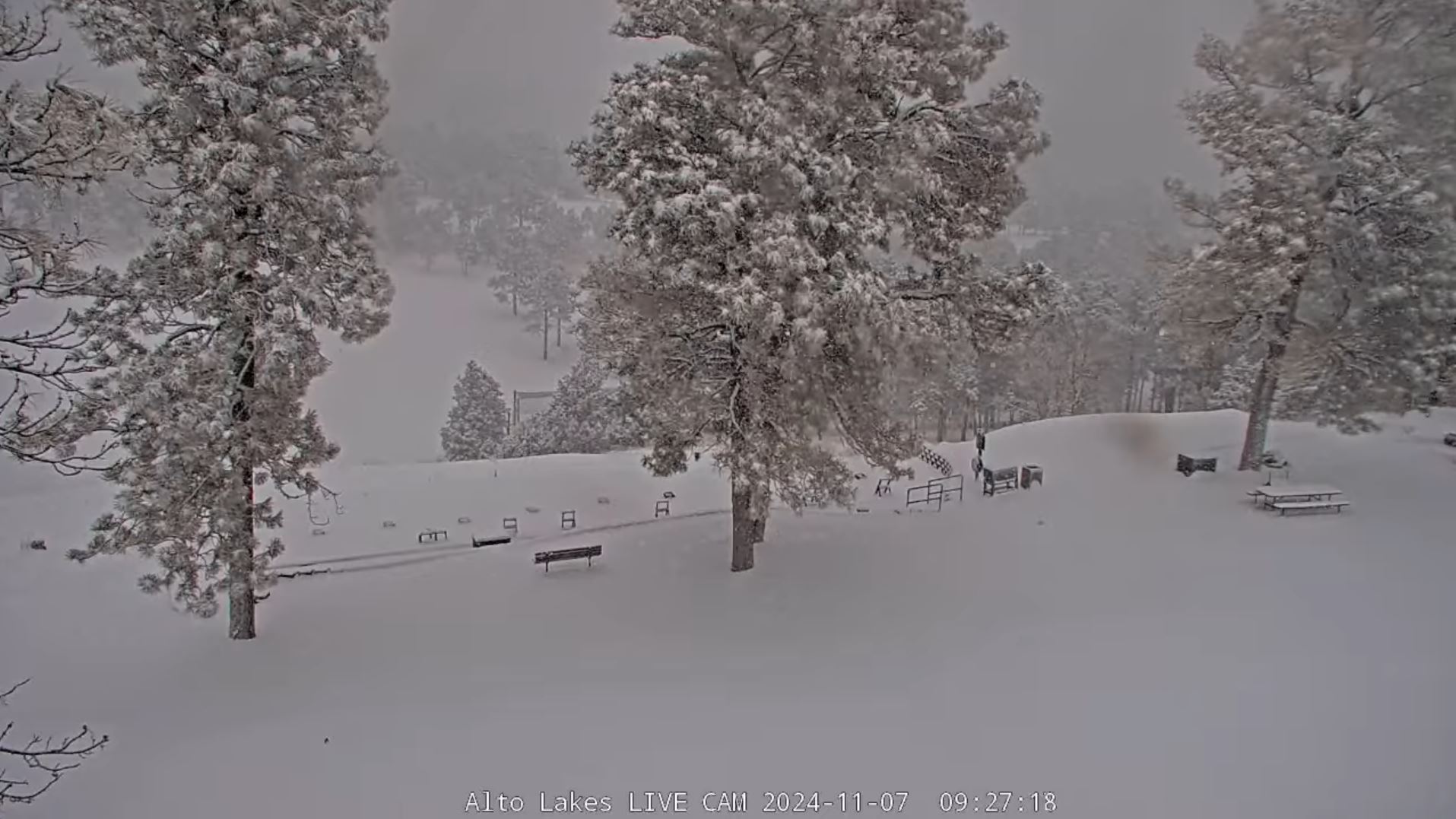 Webcam en direct de Alto, Nouveau Mexique, USA