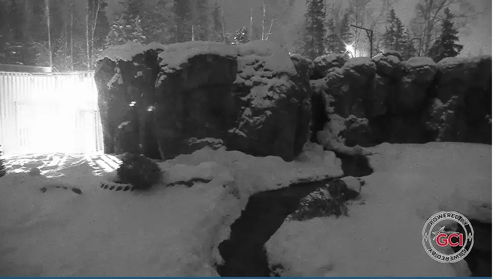 Webcam en direct de Anchorage, Alaska, USA