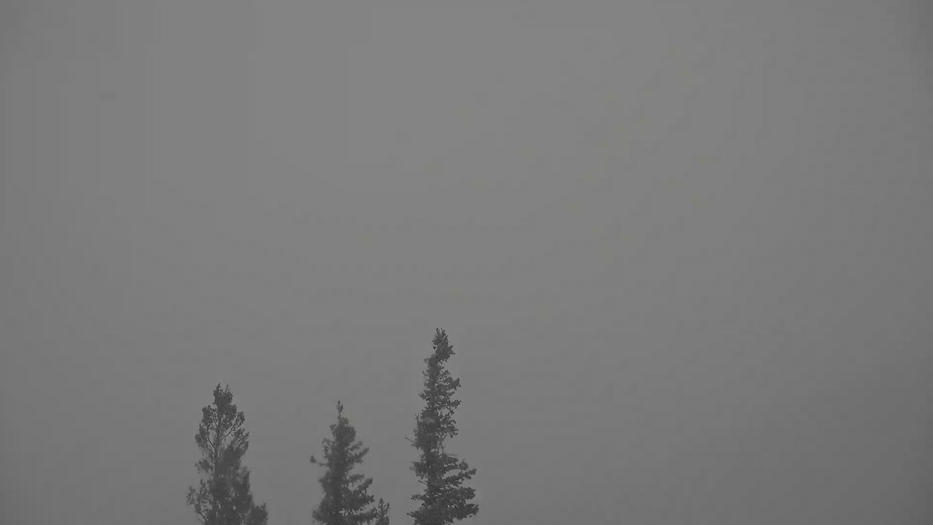 Webcam en direct de Angel Fire Resort, Nouveau Mexique, USA