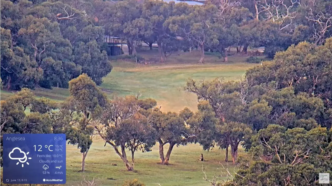 Webcam en direct de Anglesea, Victoria, Australie
