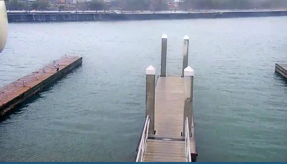 Webcam en direct de Aransas Pass, Texas, USA