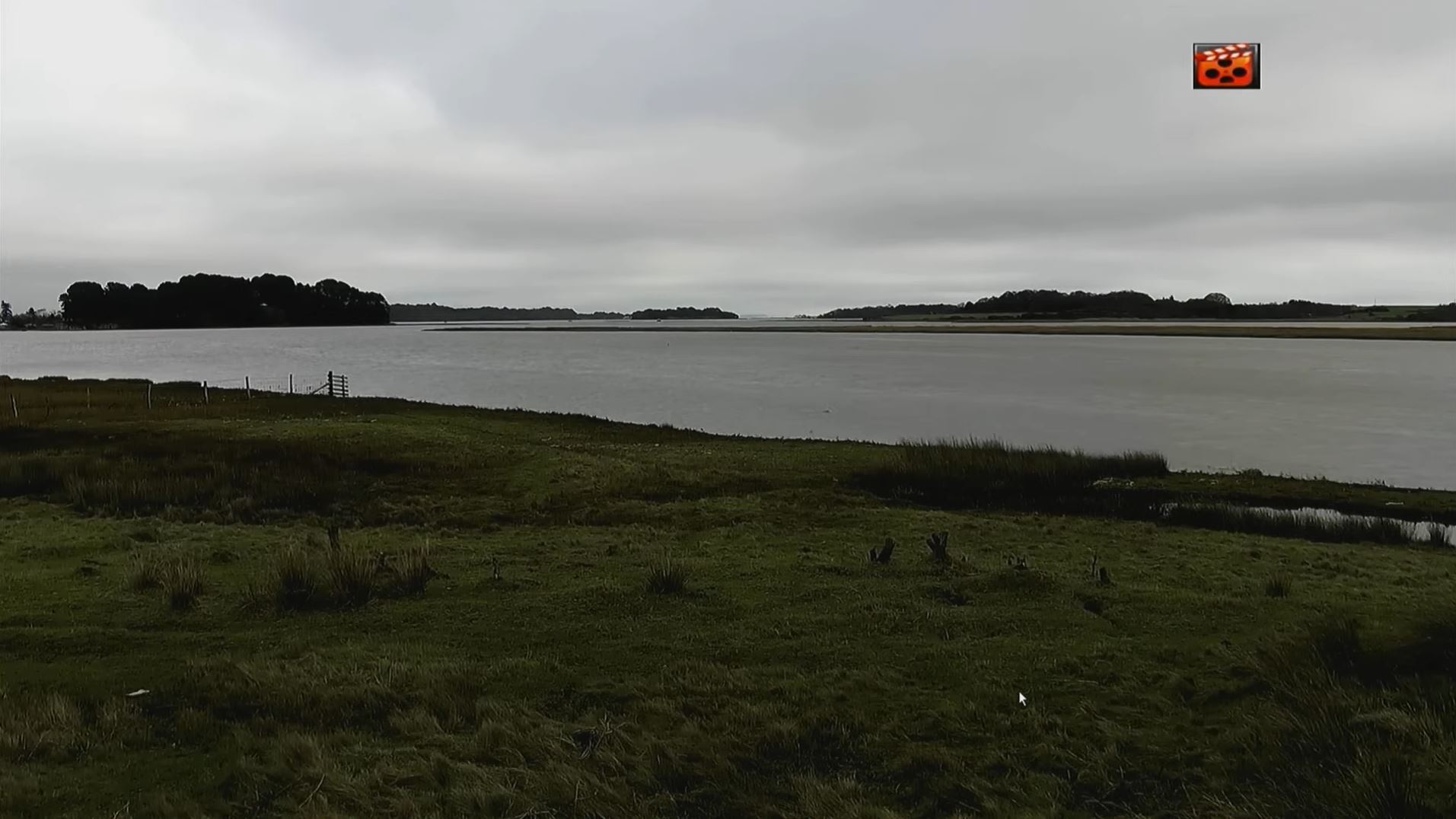 Webcam en direct de Arne, Dorset, Angleterre