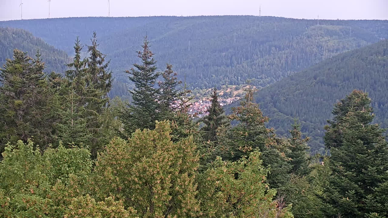 Bad Wildbad