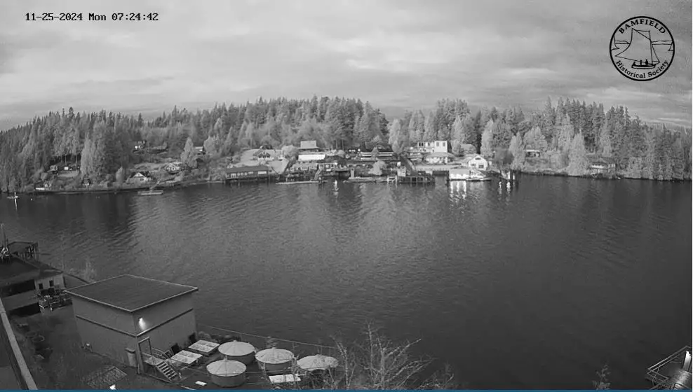 Webcam en direct de Bamfield, Colombie Britannique, Canada