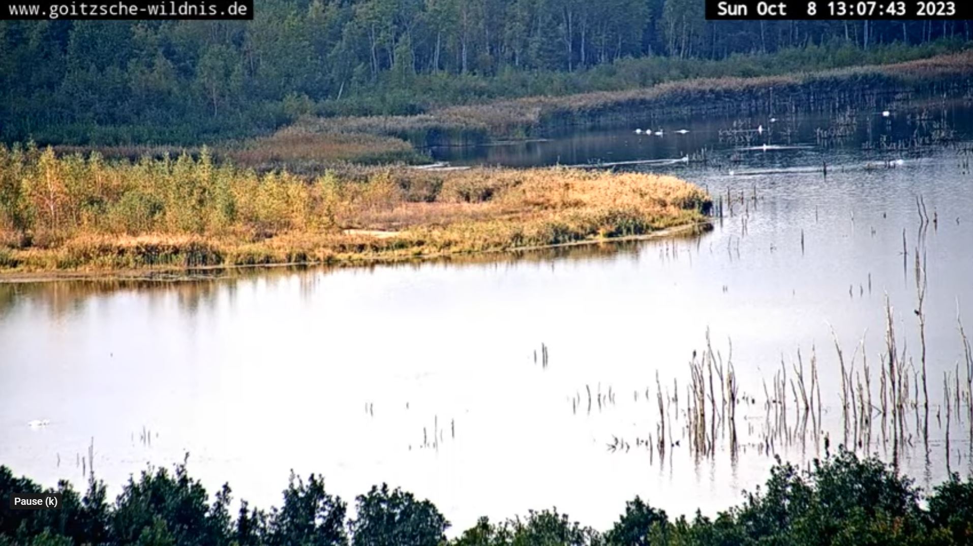 Webcam en direct de Bitterfeld Wolfen, Saxe-Anhalt, Allemagne