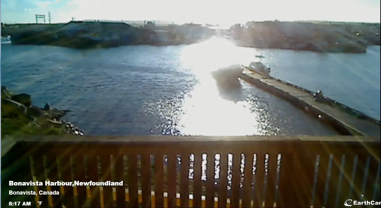 Webcam en direct de Bonavista, Newfoundland, Canada