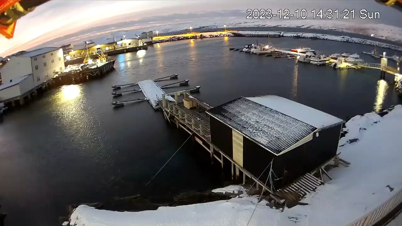 Webcam en direct de Breivikbotn, Lofoten, Norvège