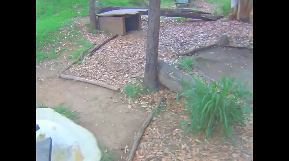 Webcam en direct de Brisbane, Queensland, Australie