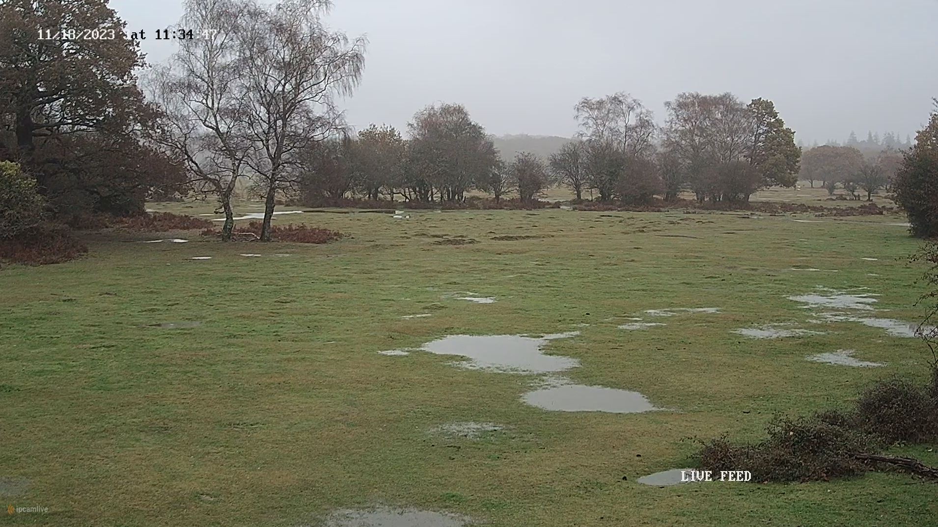 Webcam en direct de Brockenhurst, Hampshire, Angleterre