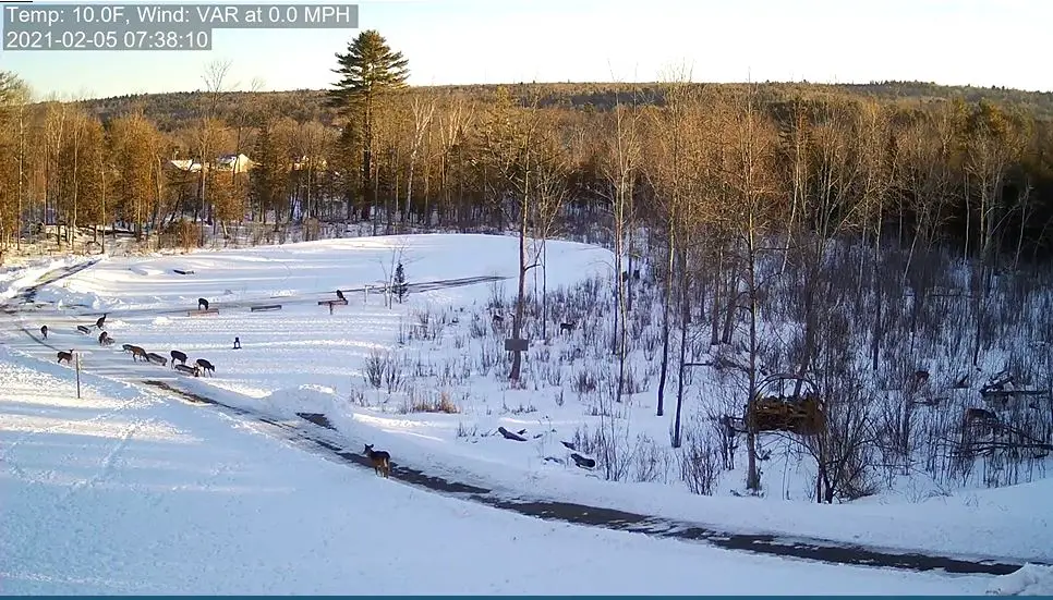 Webcam en direct de Brownville, Maine, USA
