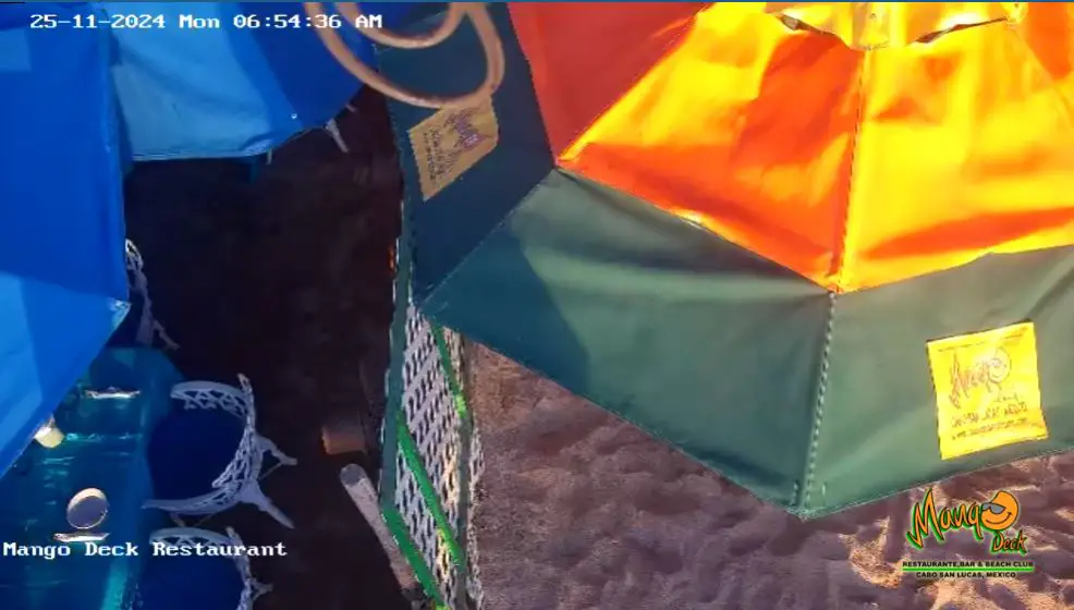 Webcam en direct de Cabo san lucas, Basse-Californie du Sud, Mexique