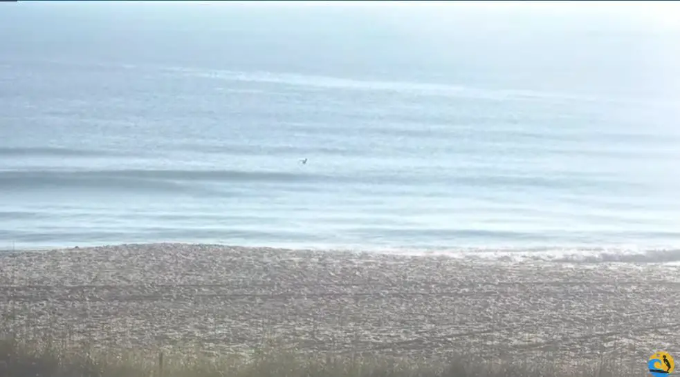 Webcam en direct de Carolina Beach, Caroline du Nord, USA