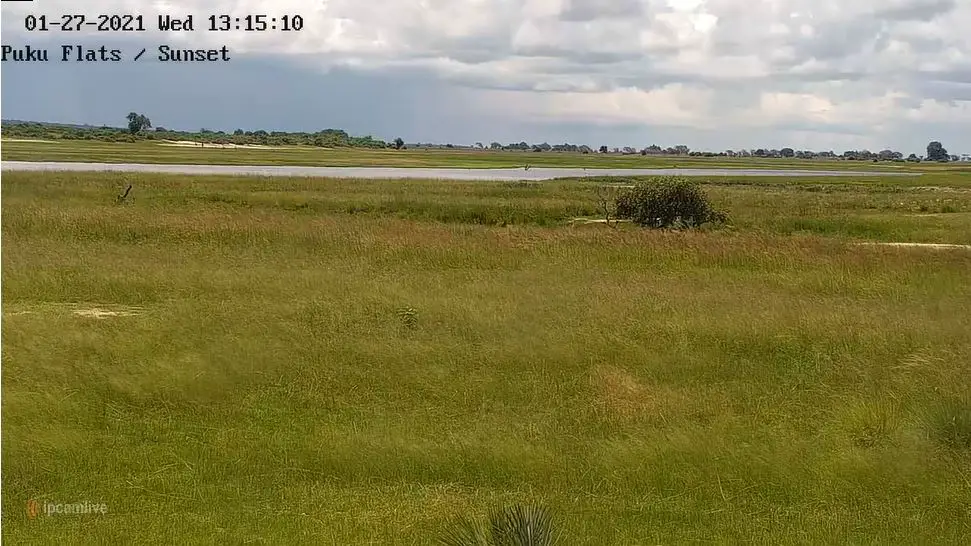 Webcam en direct de Chobe Game Lodge, Kasane, Bostwana