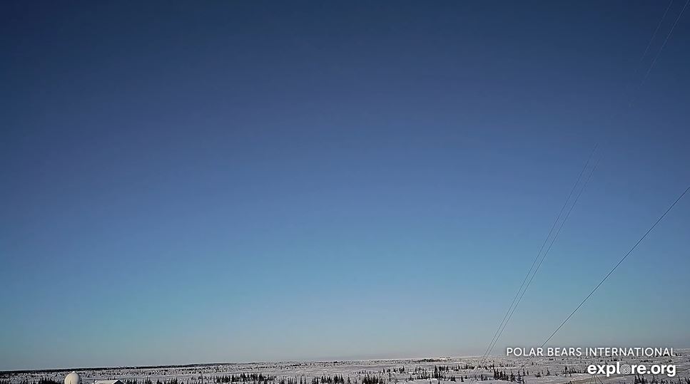 Webcam en direct de Churchill, Manitoba, Canada