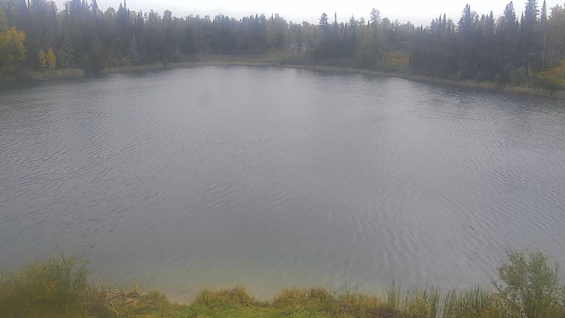 Webcam en direct de Cochrane, Ontario, Canada