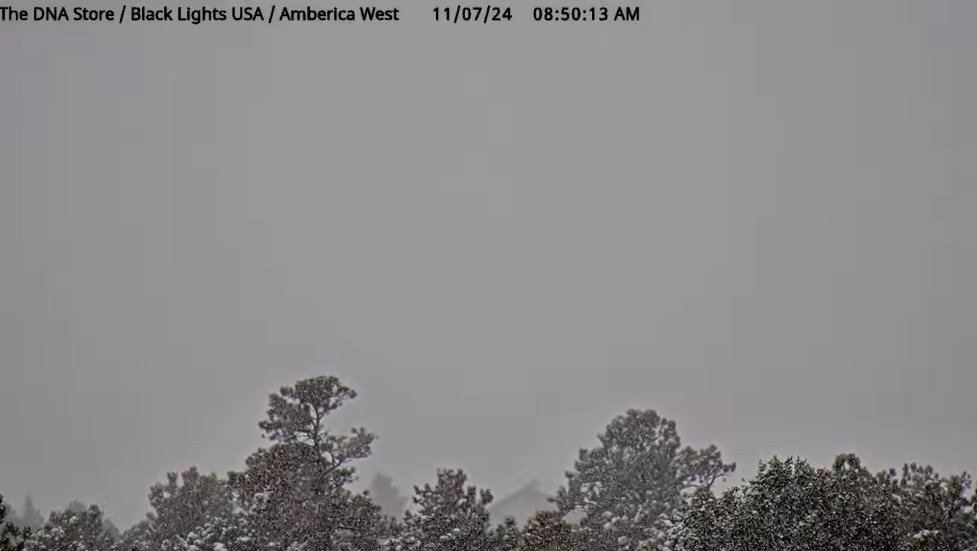 Webcam en direct de Air Force Academy, Colorado, USA