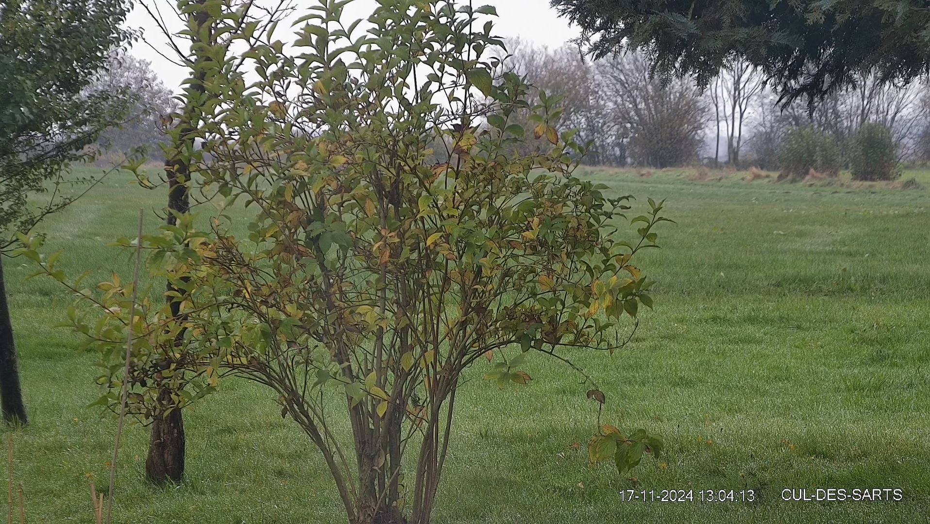 Webcam en direct de Couvin, Wallonie, Belgique