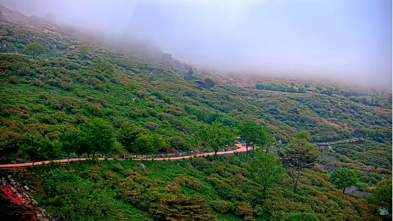Webcam en direct de Dunnae-Ri, Gyeongsangnam-do, Corée du Sud