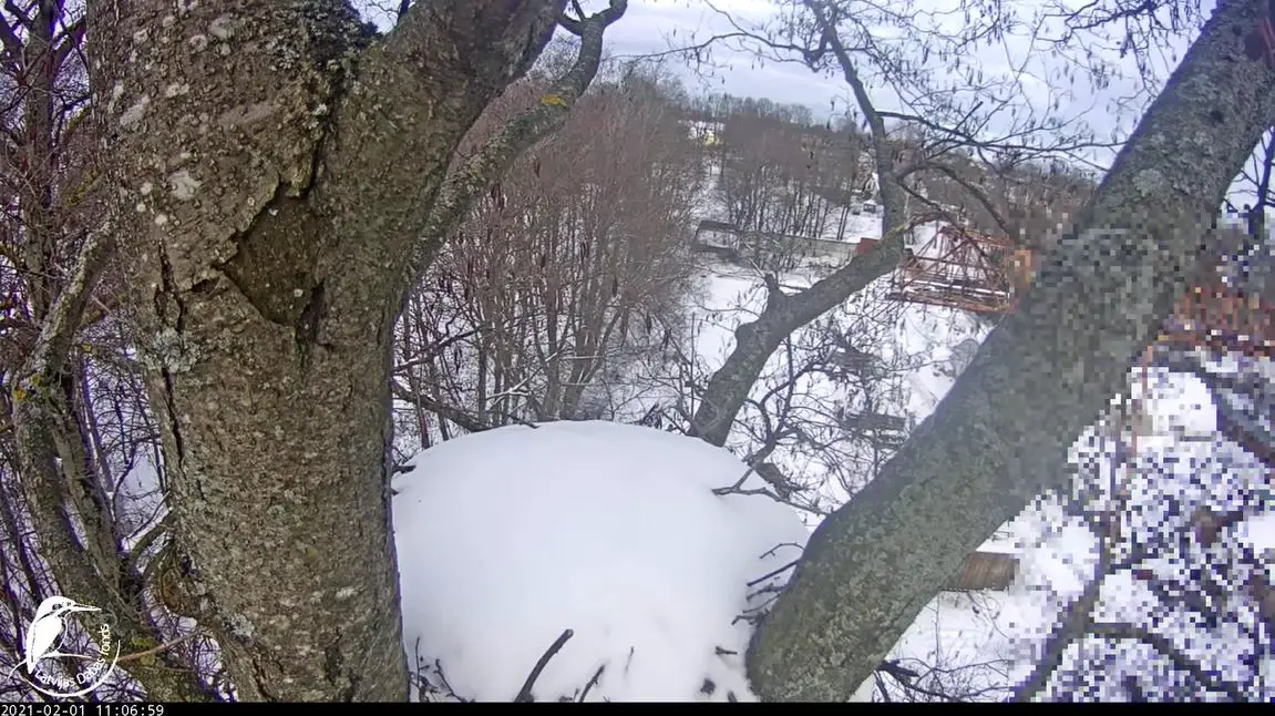 Webcam en direct de Durbe, Kurzeme, Lettonie