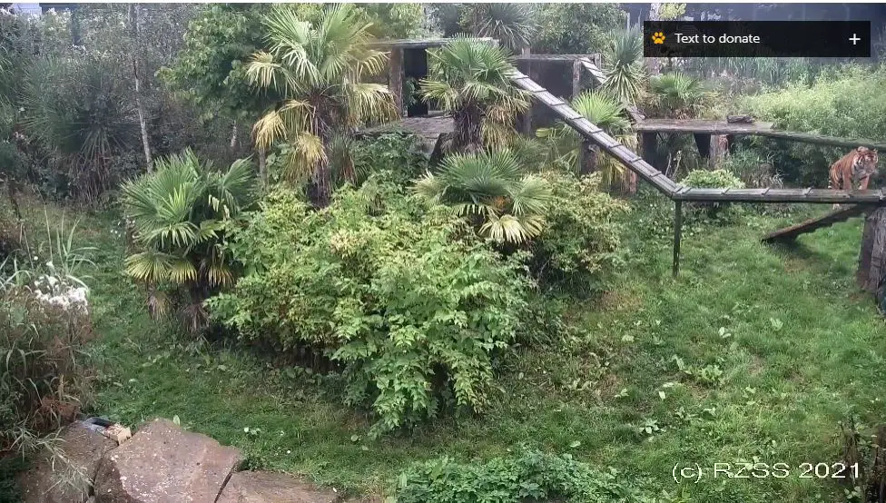 Webcam en direct de Edimbourg, Edimbourg, Ecosse
