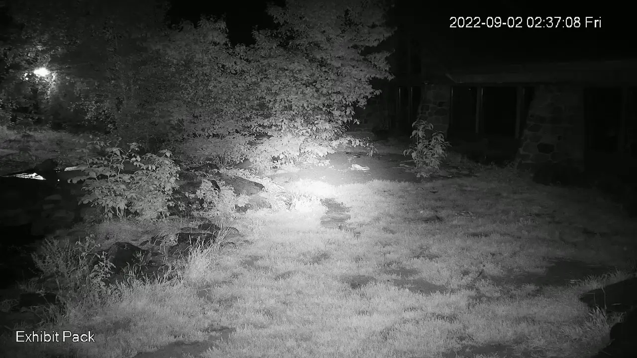 Webcam en direct de Ely, Minnesota, USA