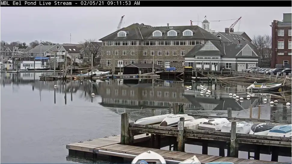 Webcam en direct de Falmouth, Massachusetts, USA