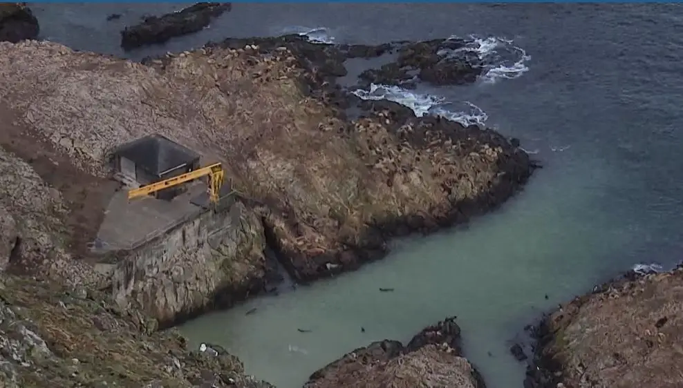 Webcam en direct de Farallon Island, Californie, USA