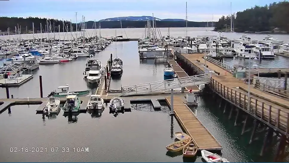 Webcam en direct de Friday Harbor, Washington, USA