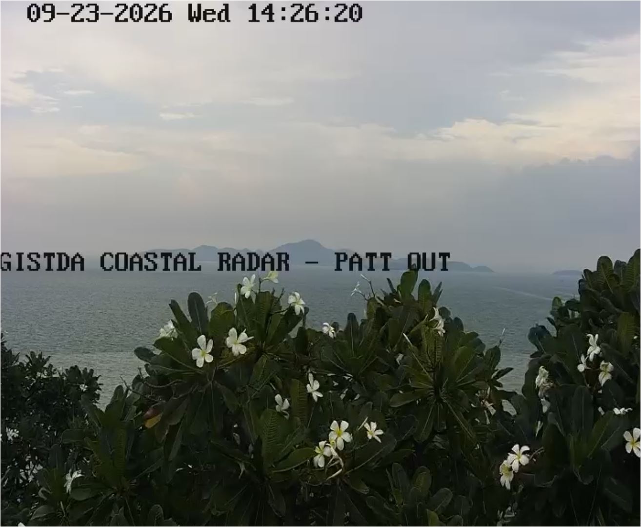 Pattaya