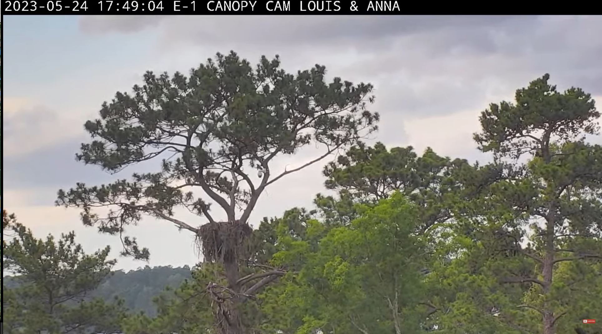 Webcam en direct de Glenmora, Louisiane, USA