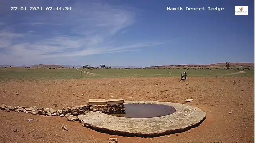 Webcam en direct de Hardap, Gondwana Namib Park, Namibie
