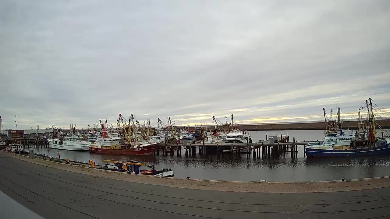 Harlingen