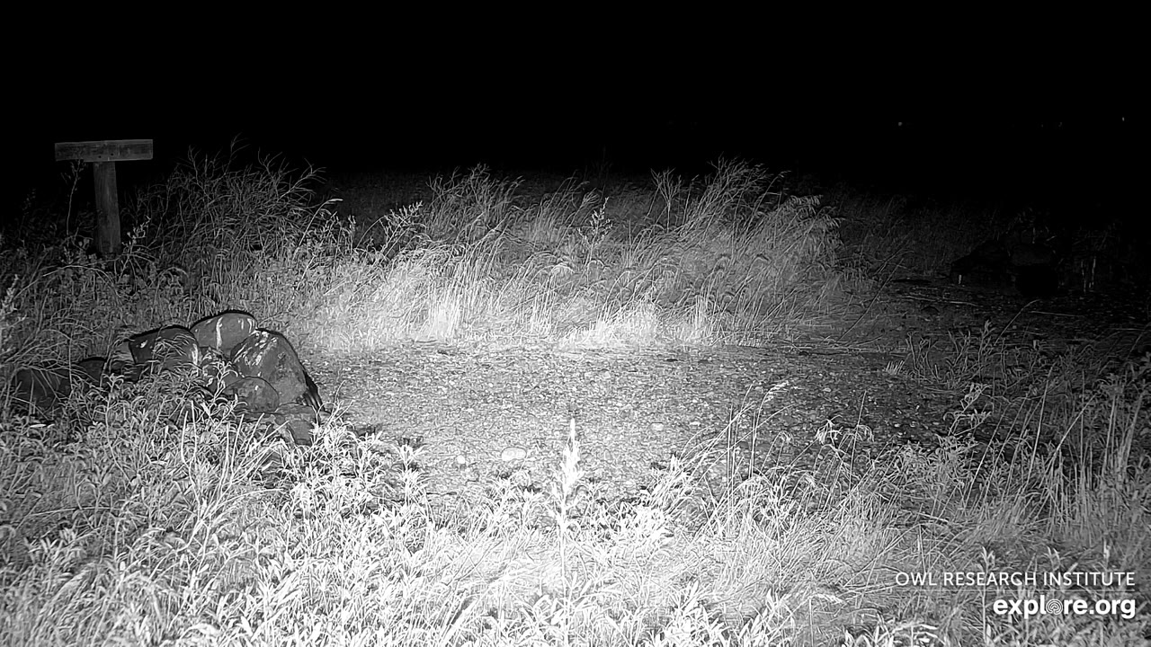 Hermiston