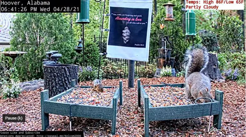 Webcam en direct de Hoover, Alabama, USA