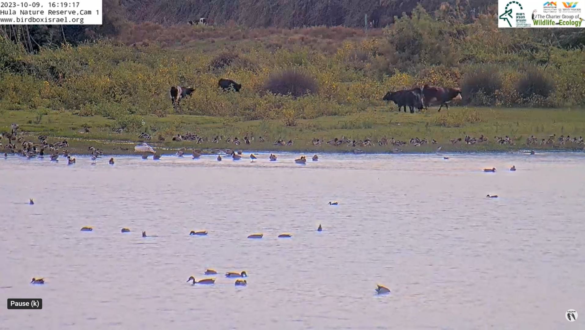 Webcam en direct de Parc du Hula, Haute Galilée, Israël