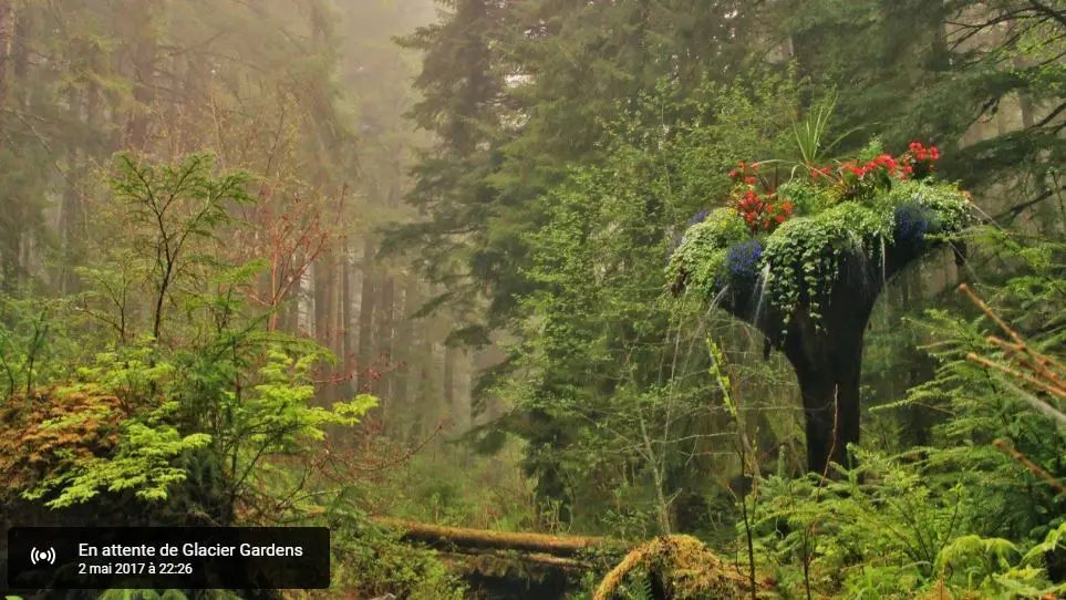 Webcam en direct de Juneau, Alaska, USA