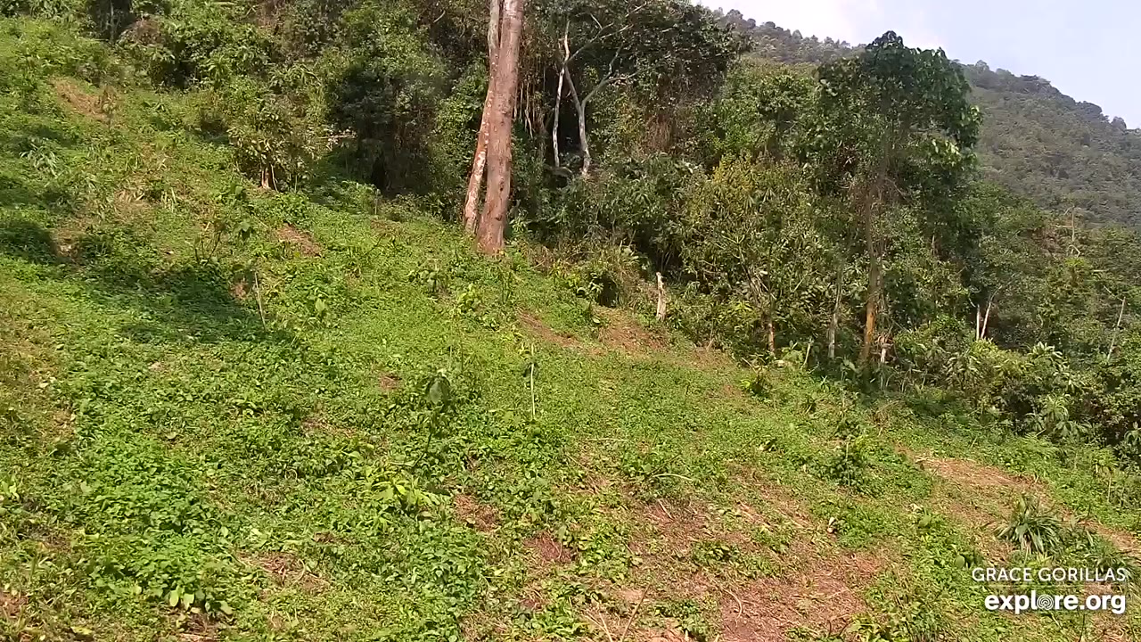 Kasugho
