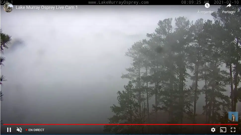 Webcam en direct de Lake Murray, Caroline du Sud, USA