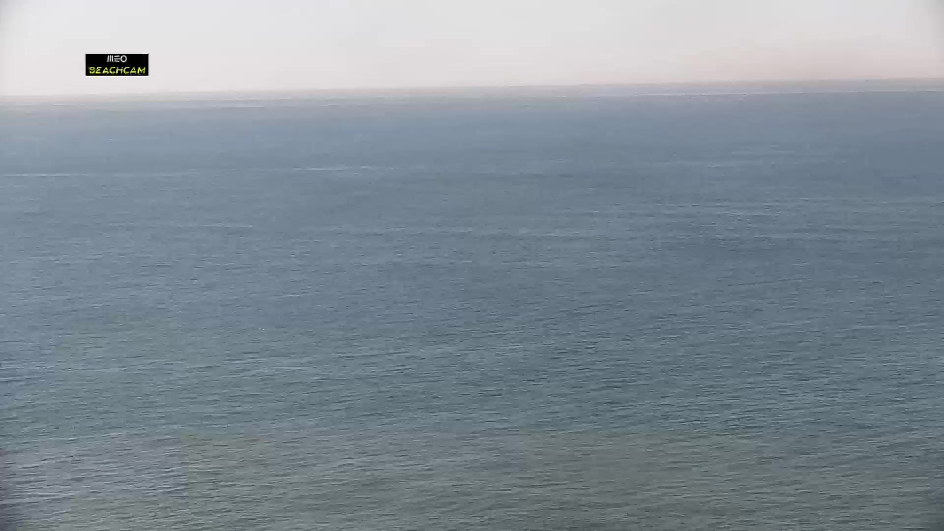 Leça da Palmeira