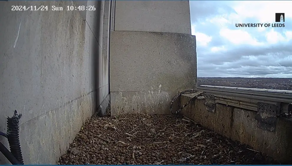 Webcam en direct de Leeds - Aéroport, Yorkshire-et-Humber, Angleterre