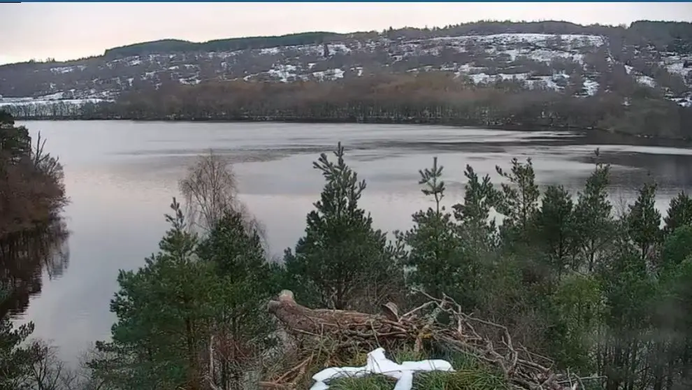 Webcam en direct de Loch Of The Lowes, Highlands, Ecosse
