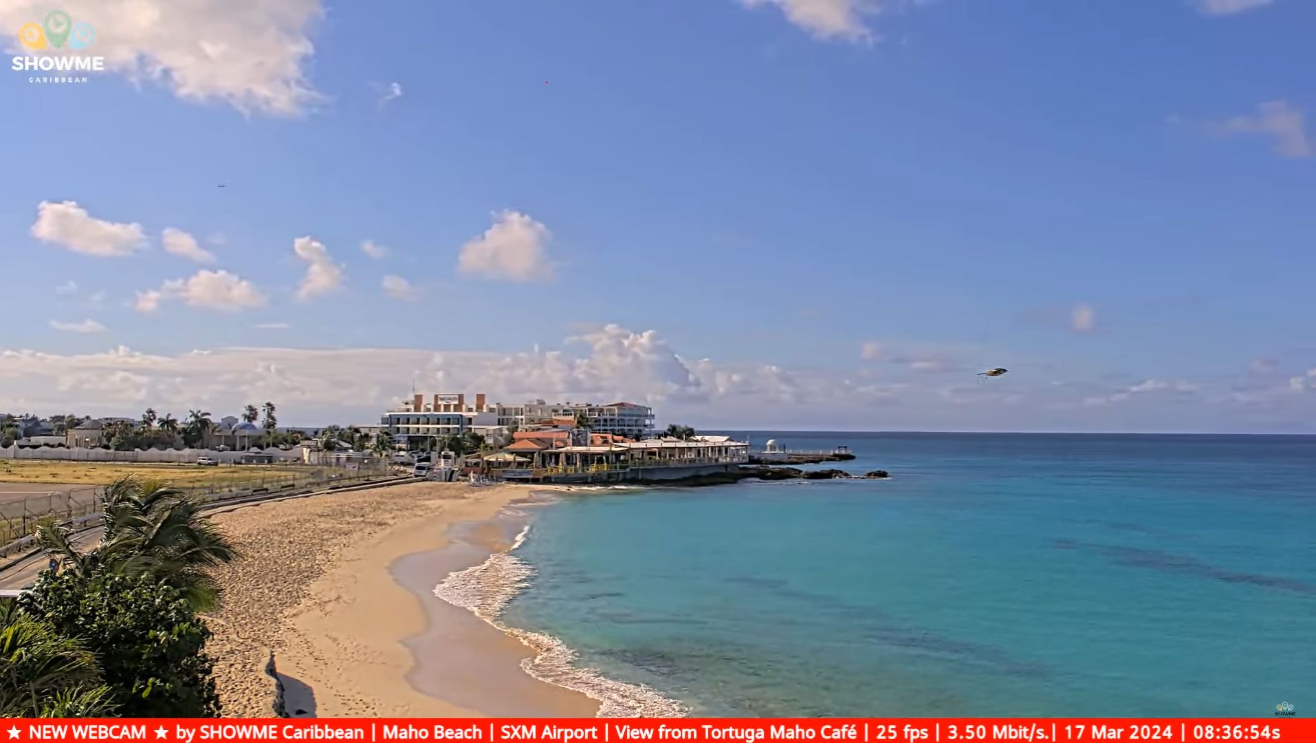 Webcam en direct de Maho Beach, Saint-Martin