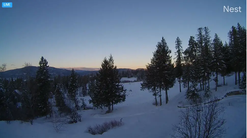 Webcam en direct de Middle Fork, Montana, USA