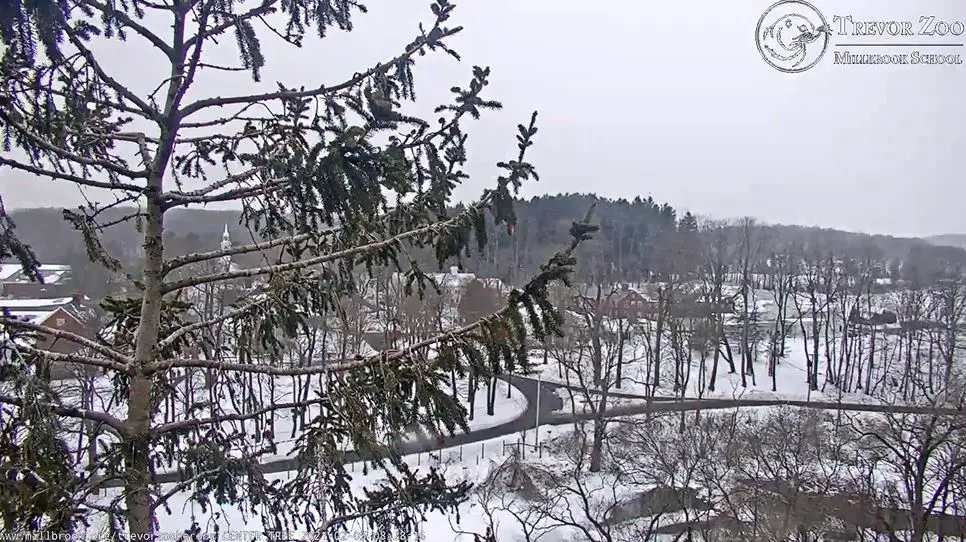 Webcam en direct de Millbrook, New-York, USA