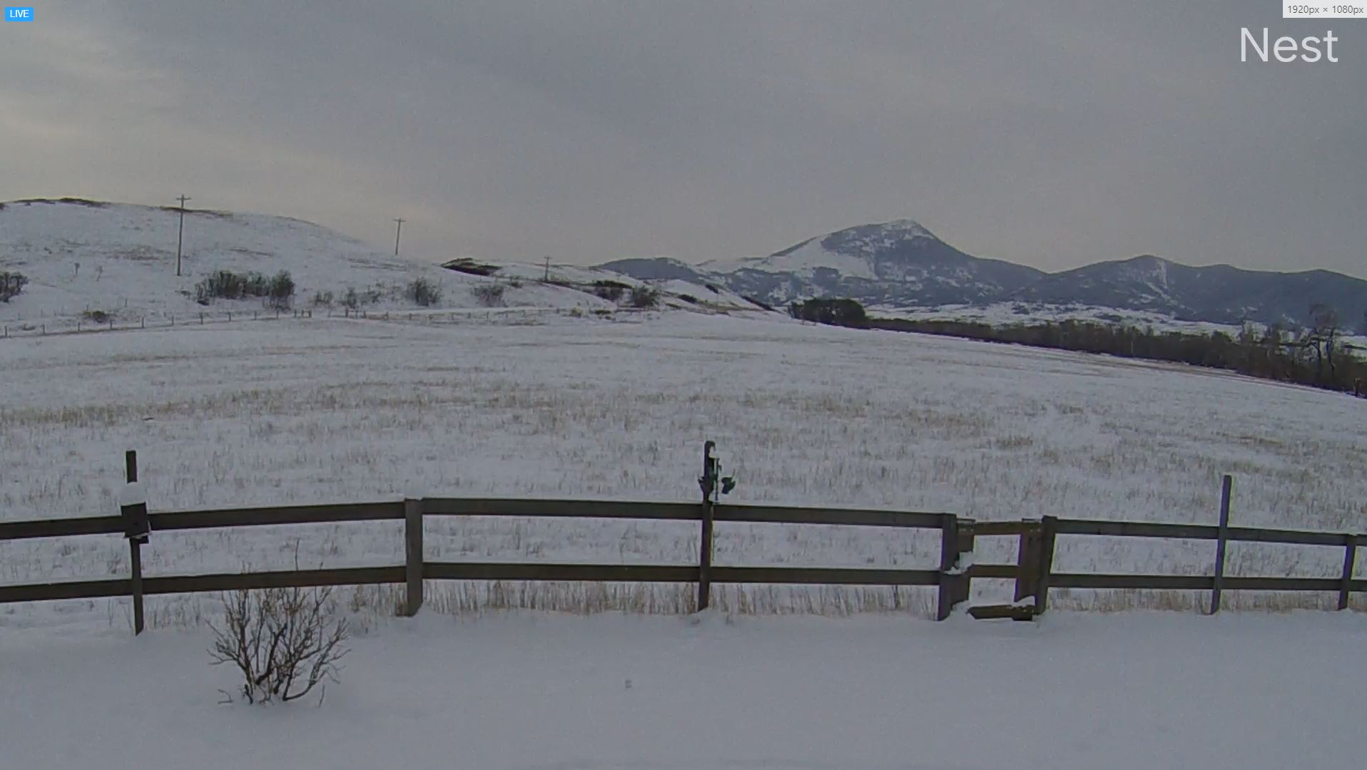 Webcam en direct de Monarch, Montana, USA