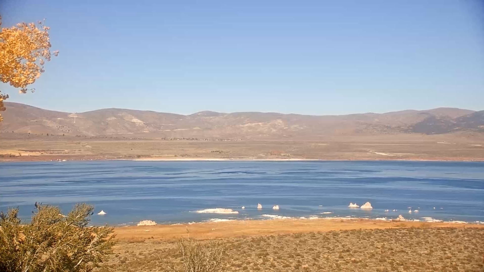 Webcam en direct de Mono lake, Californie, USA