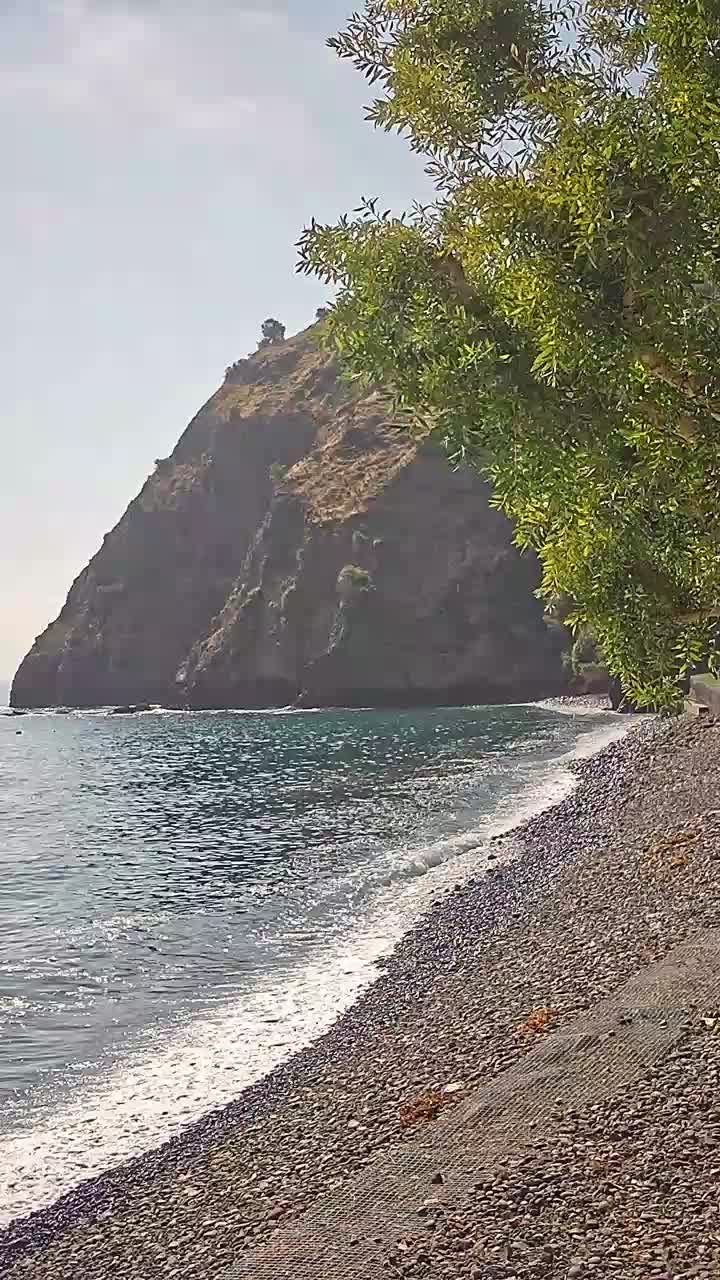 Avalon
