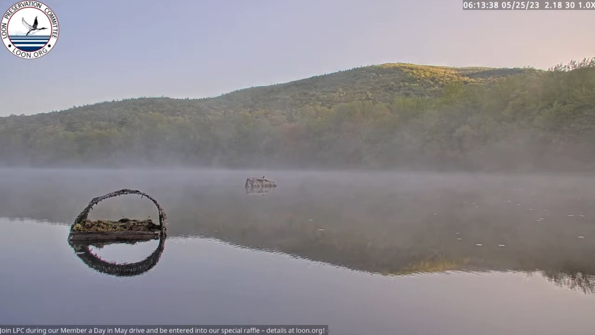 Webcam en direct de Moultonborough, New Hampshire, USA