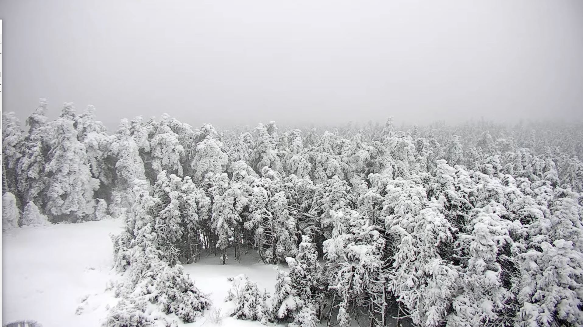Webcam en direct de Mount Mansfield, Vermont, USA